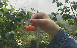 20190326105314_637